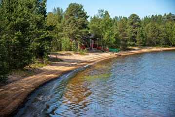 Beach and forest