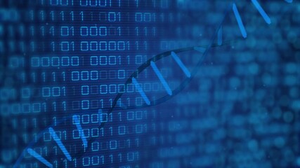 DNA strand and binary coding, scientific data processing animation - Powered by Adobe