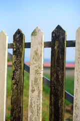 Valla de piquetes de madera blancos y negros