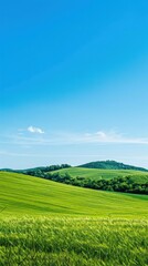 Obraz premium a vast green field with rolling hills under a clear blue sky, showcasing natural beauty and open space.