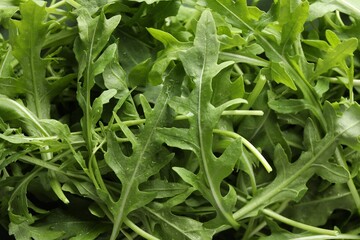 Fototapeta premium Many fresh arugula leaves with water drops as background, above view
