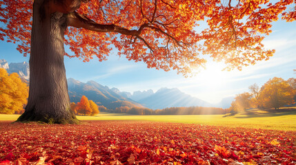 Colorful autumn landscape with foggy forest, gold sunlight, red and golden foliage at sunrise.