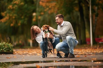 Fototapeta premium Autumn season walk. Lovely couple are with their cute dog outdoors