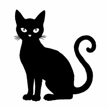 black cat sitting, curled tail
