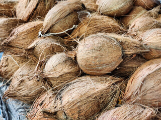 Picture of coconuts for sale shot at a shop during daylight
