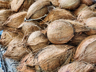 Picture of coconuts for sale shot at a shop during daylight
