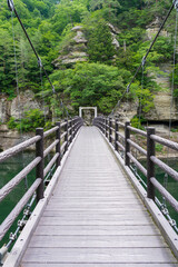 Obraz premium 【縦写真】塔のへつりの吊り橋