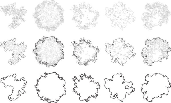 Tree plan architectural line silhouettes CAD