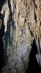 espeleotemas na caverna terra ronca, em são domingos, goiás