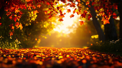 A beautiful autumn scene with a tree in the foreground and a path in the background. The leaves on the ground are orange and the sun is shining through the trees
