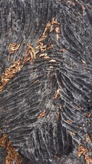 pédras com ranhuras em mambaí, goiás