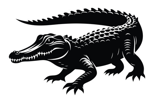 recommend clip art: silhouette crocodile vector design
