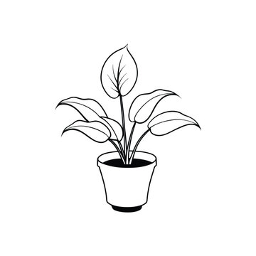 recommend clip art: Houseplant Outline Design - Potted Indoor plant Clipart - Peace lily plant  illustration in black and white