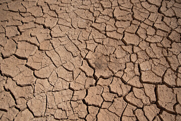 Dried Mud Cracks in Desertification Area on Barren Land during Hot Summer Day in Azraq Jordan