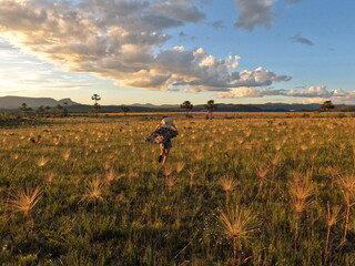 mulher caminhando em campo com palipalan (conhecidos como 