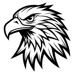Fototapeta premium eagle head tattoo