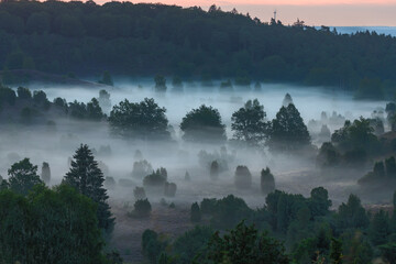 fog in the mountains