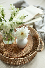 Cozy still life with white flowers. Home style and coziness.