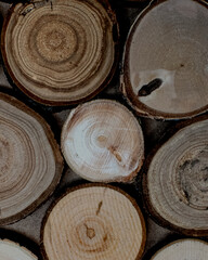 slices of different types of wood, top view