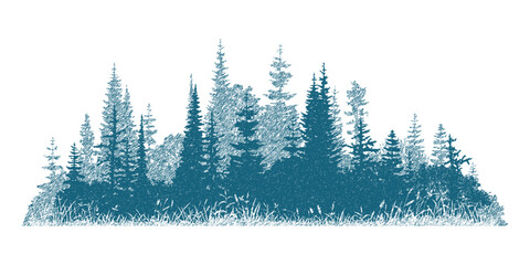 The forest in the fog, imitation of a pencil drawing, vector sketch, isolated on a white background