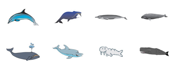 c Sea Creature Dolphin Whale Sea Lion Animals Silhouette - compendium vector illustrations editable best art design for logo icon multipurpose use in high definition format