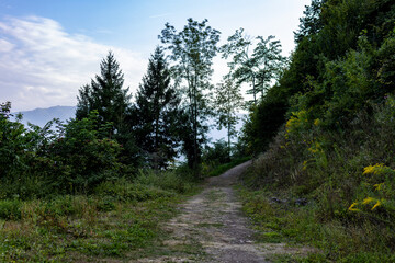 Picturesque summer road in the Austrian Alps with beautiful mountain views