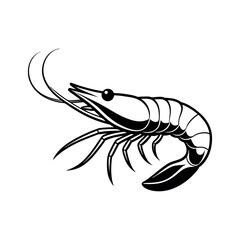 shrimp line art vector with white background