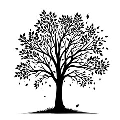 Obraz premium Black vector silhouette of an autumn tree isolated on a transparent background - Decorative autumn tree clipart