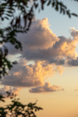 Obraz premium Clouds at sunset through the leaves