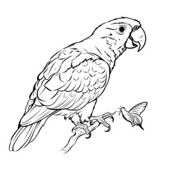 Fototapeta premium Cute Parrot with a Butterfly Perched on Its Beak Clipart Illustration