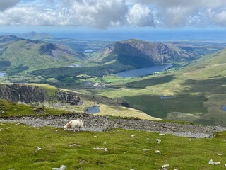 snowdonia landscape with sheep and lake and cloud and sky