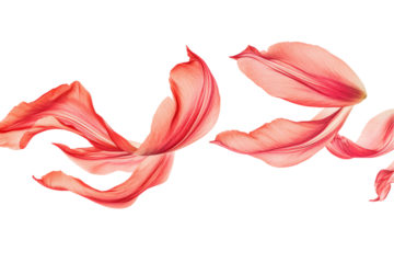 Dancing Petals: A graceful trio of pink flower petals pirouette through a white expanse, their delicate forms frozen in an ethereal ballet. 