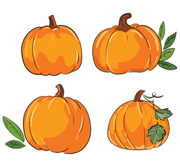 Set Pumpkin and leaves autumn background, vector illustration, hand drawn design postcard holiday, ink, sketch 