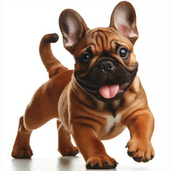 Obraz premium Puppy Energy: Brown French Bulldog in Motion