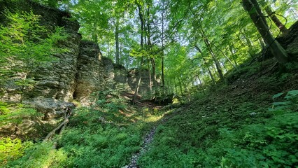 Obraz premium Naturschutzgebiet Bielsteinhöhle 