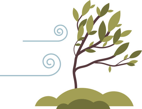 A tree bending in the wind, symbolizing resilience and adaptability.
