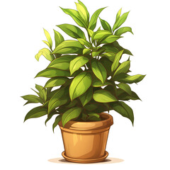 a 2d cartoon clipart drawing of an office plant on an isolated transparent background