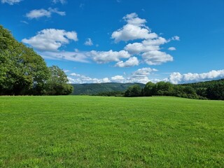 Obraz premium A serene green grass field with mountains and trees under a clear blue sky