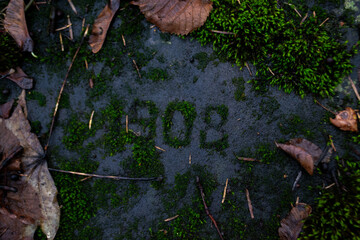 German memorial in the cemetery overgrown with moss on a green background of nature