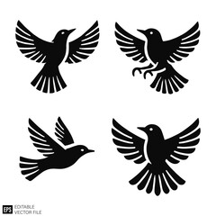 Fototapeta premium set of bird Isolated vector graphic illustration design in black and white silhouette for clip art templates