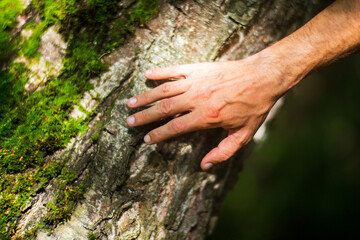 A man's hand touch the tree trunk close-up. Bark wood.Caring for the environment. The ecology concept of saving the world and love nature by human