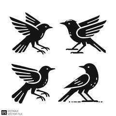 Fototapeta premium set of bird Isolated vector graphic illustration design in black and white silhouette for clip art templates