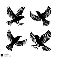 Obraz premium set of bird Isolated vector graphic illustration design in black and white silhouette for clip art templates