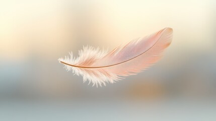 Obraz premium Serene Floating Feather Against Soft Pastel Backdrop