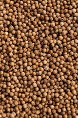 Coriander grains macro top view.