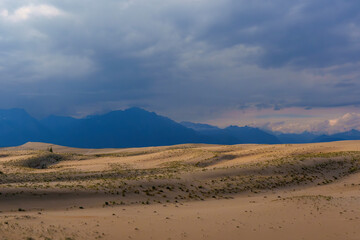 Rolling sand dunes with distant mountains under cloudy sky