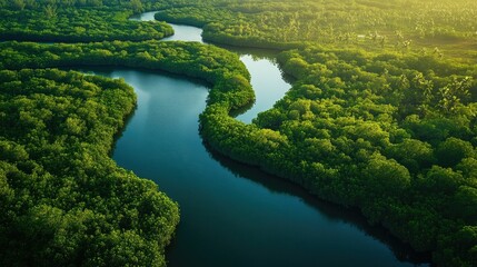 Lush Southeast Asian mangrove forest with winding waterways, natural habitat, no people