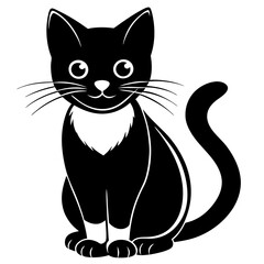 black and white cat