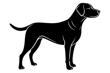 black dog silhouette