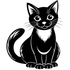 black and white cats